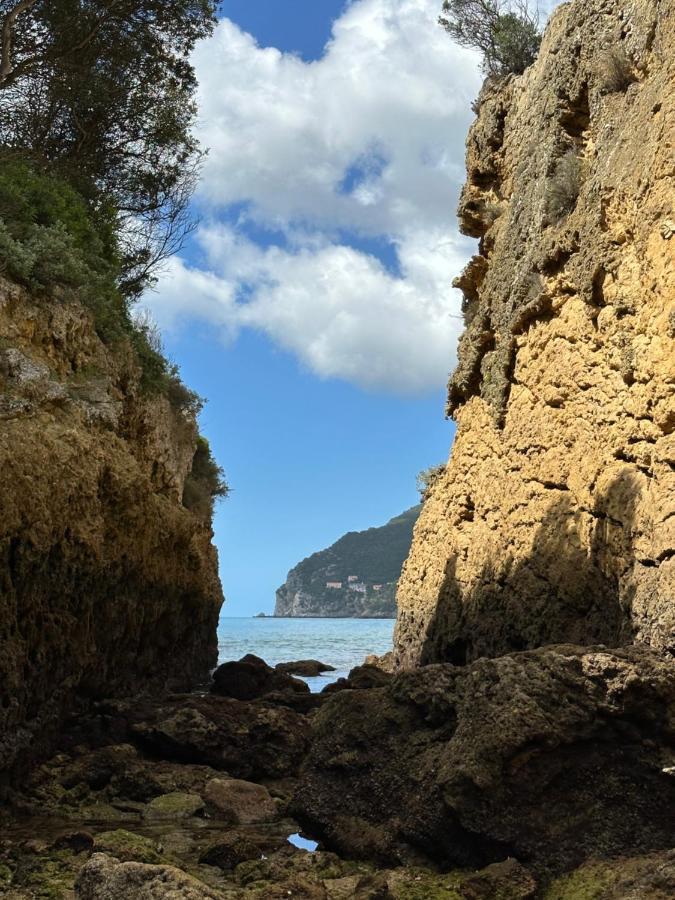 Casa Jasmim Βίλα Azeitao Εξωτερικό φωτογραφία