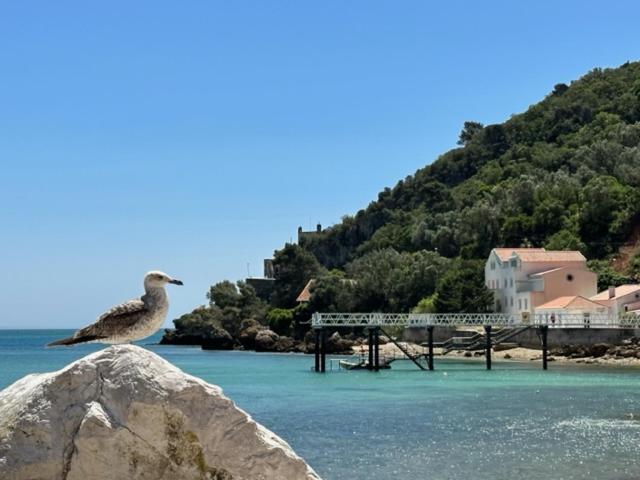 Casa Jasmim Βίλα Azeitao Εξωτερικό φωτογραφία
